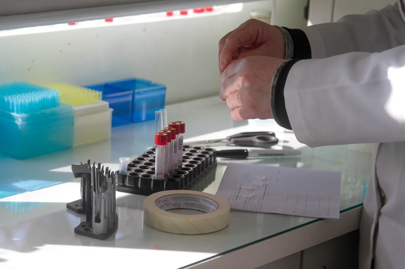 foto colorida com dois antebraços de jaleco branco manipulando objetos em uma mesa branca de laboratório, iluminada por raios solares