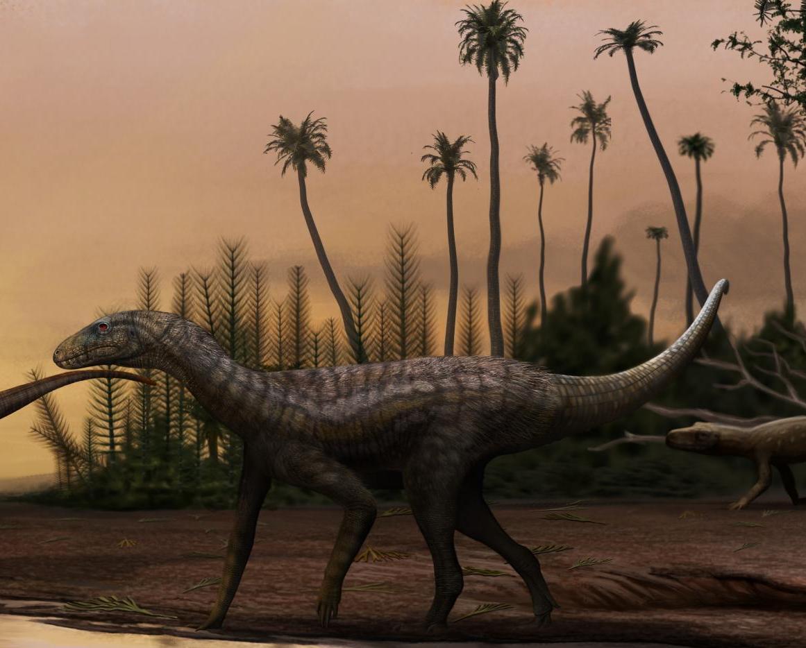 ilustração colorida retangular de um dinossauro em um ambiente natural, com árvores ao fundo, com um céu de de amanhecer ou anoitecer