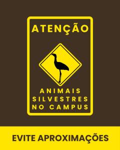 Card colorido com a ilustração de uma seriema, com as palavras: "Atenção, animais silvestres no campus. Evite aproximações" 