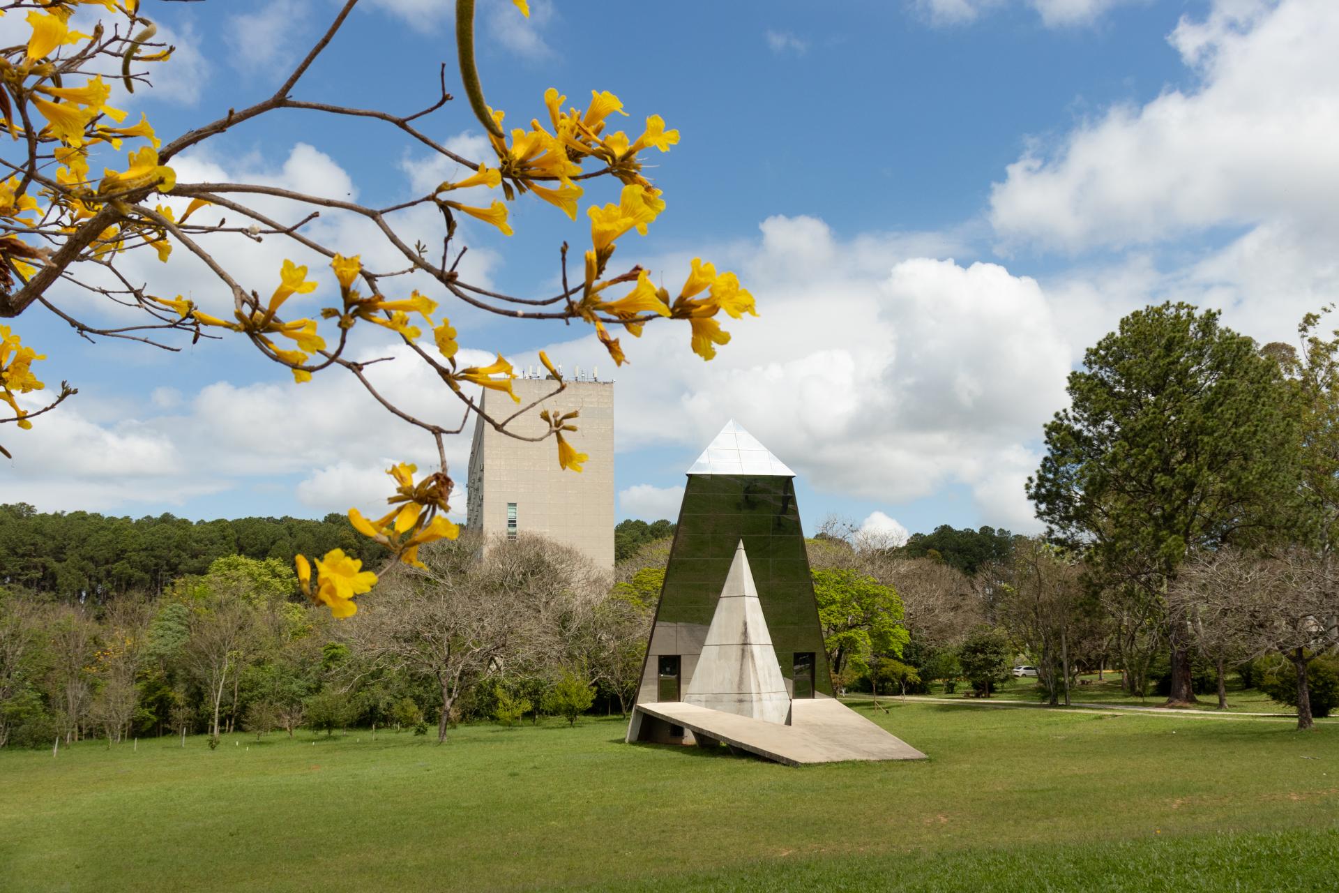 UFSM na primavera (Foto: Ana Alicia Flores)