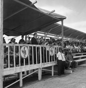 I Festival Hípico de Santa Maria