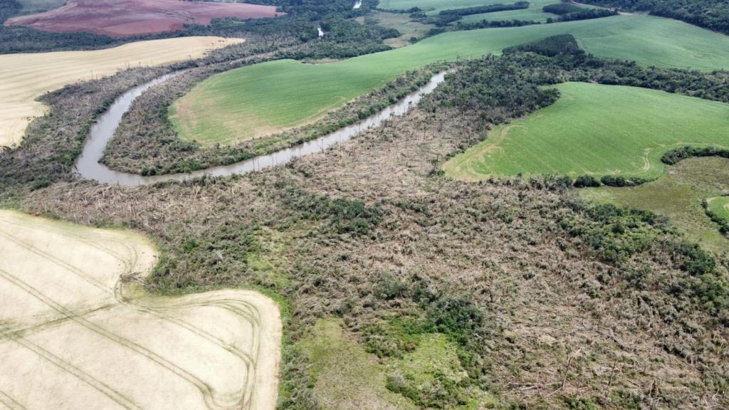 Foto horizontal e colorida e aérea de uma extensa faixa de mata tombada ao longo do curso de um rio. Árvores estão arrancadas ou deitadas, formando um rastro claro da passagem de vento extremo. Em contraste, ao redor aparecem lavouras verdes e áreas agrícolas preservadas. A imagem evidencia a força e o caminho do ciclone sobre a vegetação nativa.