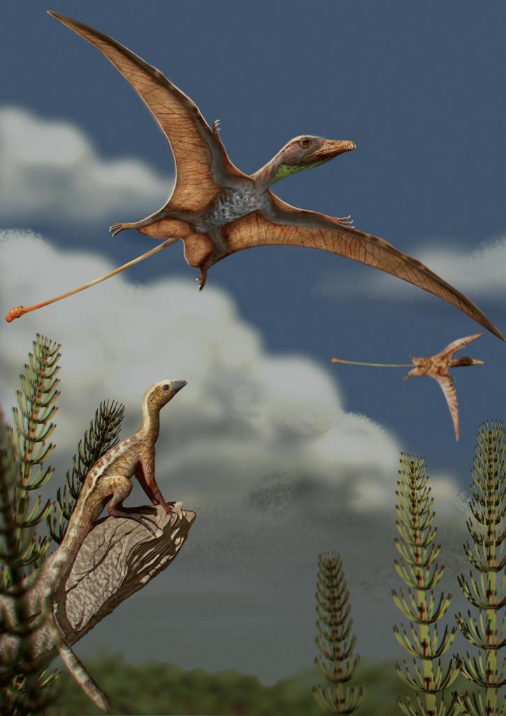 Imagem colorida vertical. Um lagerpetídeo está empoleirado em uma rocha observando pterossauros voando acima
