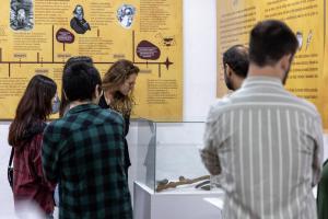 Um grupo de pessoas está observando peças de uma exposição. Ao fundo, há uma parede branca e dois painéis amarelos, com textos em preto e figuras. No centro da foto, há uma pequena mesa branca e uma caixa de vidro em cima, com artefatos dentro. Em volta, há seis pessoas observando.