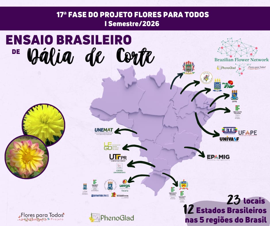 Card de divulgação do Ensaio Brasileiro Dalia de Corte. Em destaque, uma mapa da divisão política do Brasil, com indicação das universidades participantes com setas que relacionam com os estados pertencentes. A imagem traz ainda duas fotos de flores, uma amarela com muitas pétalas, e a outra alaranjada e amarela, com com muitoas pétalas e aberta. 