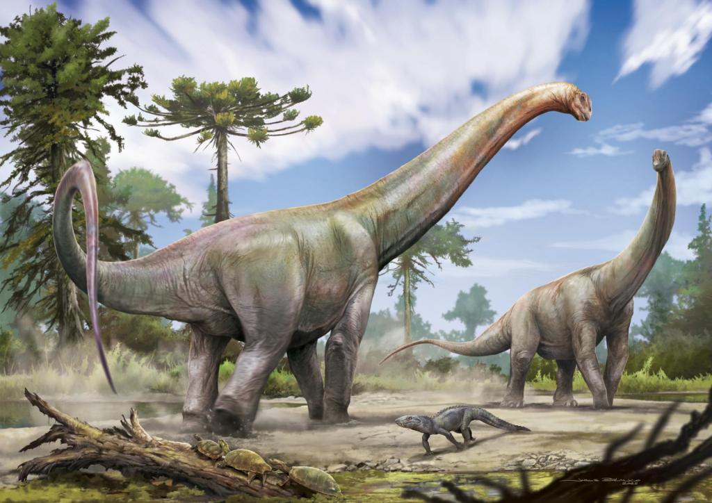 A imagem ilustra dois dinossauros da espécie Dasosaurus tocantinensis. Junto a eles, está um outro lagarto muito menor, o que ajuda o público a ter uma ideia da dimensão gigantesca desses dinossauros. Os três répteis dessa arte gráfica encontram-se em uma clareira com solo arenoso, a qual está inserida dentro de uma floresta.