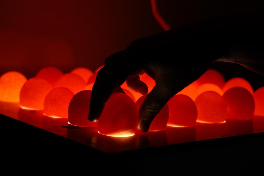 Foto horizontal colorida horizontal de ovos iluminados pelo equipamento chamado ovoscópio, enquanto uma mão seleciona unidades durante a inspeção de qualidade na agroindústria familiar.