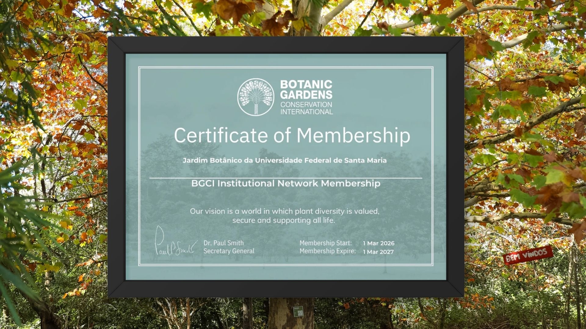 Foto colorida na horizontal que mostra, ao centro, uma moldura digital preta com o certificado oficial da Botanic Gardens Conservation International (BGCI), que reconhece o Jardim Botânico da UFSM como membro da organização. O certificado aparece em tom de verde claro, com escritos em branco e a logo da BGCI no topo, em inglês. Ao fundo da moldura, aparece uma árvore do jardim com folhas secas em tons alaranjados misturadas a folhas verdes.