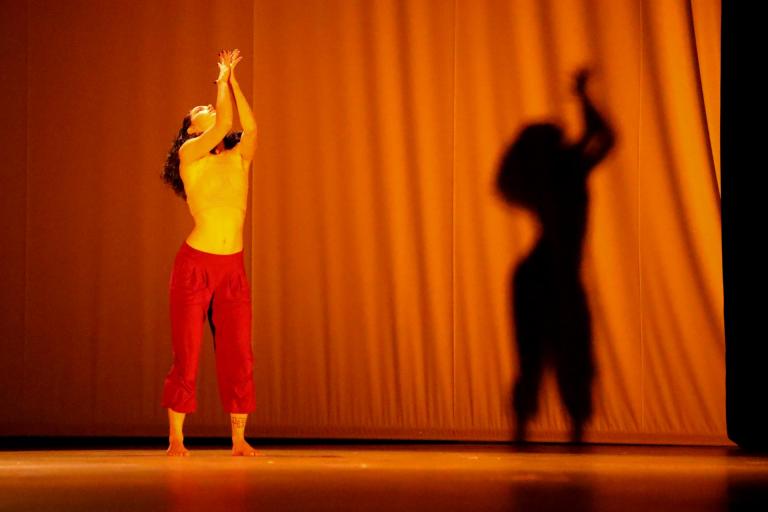Dia Internacional da Dança na UFSM (Fotos: Sofhia Krening)