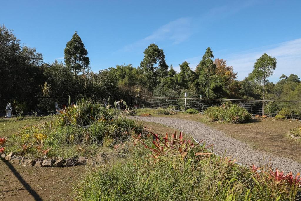 Foto colorida na horizontal mostra o Telhado Verde da UFSM em um dia de céu azul. Próximo a câmera, há canteiros delimitados por pedras com diferentes espécies de plantas ornamentais e nativas, incluindo vegetação em tons de verde, vermelho e amarelo. Uma trilha curva de granito que atravessa o espaço e indica o caminho por onde os visitantes podem circular. Ao redor da trilha, aparecem áreas gramadas e pequenos jardins organizados em formatos circulares. Ao fundo da imagem, há uma cerca metálica que delimita a área do telhado, além de estátuas decorativas semelhantes a anjos posicionadas próximas à vegetação. Mais atrás, árvores altas e densas formam uma paisagem verde.Foto colorida na horizontal mostra o Telhado Verde da UFSM em um dia de céu azul. Próximo a câmera, há canteiros delimitados por pedras com diferentes espécies de plantas ornamentais e nativas, incluindo vegetação em tons de verde, vermelho e amarelo. Uma trilha curva de granito que atravessa o espaço e indica o caminho por onde os visitantes podem circular. Ao redor da trilha, aparecem áreas gramadas e pequenos jardins organizados em formatos circulares. Ao fundo da imagem, há uma cerca metálica que delimita a área do telhado, além de estátuas decorativas semelhantes a anjos posicionadas próximas à vegetação. Mais atrás, árvores altas e densas formam uma paisagem verde.Foto colorida na horizontal mostra o Telhado Verde da UFSM em um dia de céu azul. Próximo a câmera, há canteiros delimitados por pedras com diferentes espécies de plantas ornamentais e nativas, incluindo vegetação em tons de verde, vermelho e amarelo. Uma trilha curva de granito que atravessa o espaço e indica o caminho por onde os visitantes podem circular. Ao redor da trilha, aparecem áreas gramadas e pequenos jardins organizados em formatos circulares. Ao fundo da imagem, há uma cerca metálica que delimita a área do telhado, além de estátuas decorativas semelhantes a anjos posicionadas próximas à vegetação. Mais atrás, árvores altas e densas formam uma paisagem verde.Foto colorida na horizontal mostra o Telhado Verde da UFSM em um dia de céu azul. Próximo a câmera, há canteiros delimitados por pedras com diferentes espécies de plantas ornamentais e nativas, incluindo vegetação em tons de verde, vermelho e amarelo. Uma trilha curva de granito que atravessa o espaço e indica o caminho por onde os visitantes podem circular. Ao redor da trilha, aparecem áreas gramadas e pequenos jardins organizados em formatos circulares. Ao fundo da imagem, há uma cerca metálica que delimita a área do telhado, além de estátuas decorativas semelhantes a anjos posicionadas próximas à vegetação. Mais atrás, árvores altas e densas formam uma paisagem verde.Foto colorida na horizontal mostra o Telhado Verde da UFSM em um dia de céu azul. Próximo a câmera, há canteiros delimitados por pedras com diferentes espécies de plantas ornamentais e nativas, incluindo vegetação em tons de verde, vermelho e amarelo. Uma trilha curva de granito que atravessa o espaço e indica o caminho por onde os visitantes podem circular. Ao redor da trilha, aparecem áreas gramadas e pequenos jardins organizados em formatos circulares. Ao fundo da imagem, há uma cerca metálica que delimita a área do telhado, além de estátuas decorativas semelhantes a anjos posicionadas próximas à vegetação. Mais atrás, árvores altas e densas formam uma paisagem verde.Foto colorida na horizontal mostra o Telhado Verde da UFSM em um dia de céu azul. Próximo a câmera, há canteiros delimitados por pedras com diferentes espécies de plantas ornamentais e nativas, incluindo vegetação em tons de verde, vermelho e amarelo. Uma trilha curva de granito que atravessa o espaço e indica o caminho por onde os visitantes podem circular. Ao redor da trilha, aparecem áreas gramadas e pequenos jardins organizados em formatos circulares. Ao fundo da imagem, há uma cerca metálica que delimita a área do telhado, além de estátuas decorativas semelhantes a anjos posicionadas próximas à vegetação. Mais atrás, árvores altas e densas formam uma paisagem verde.
