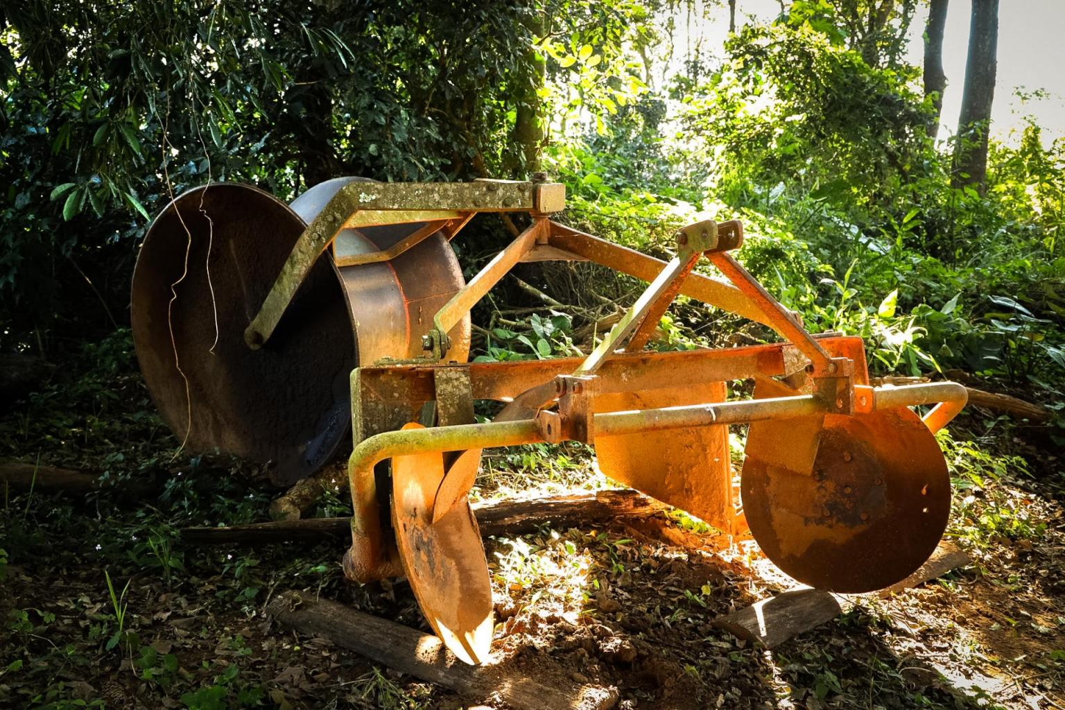 Visita de campo em Dona Francisca (Foto: Jessica Mocellin)