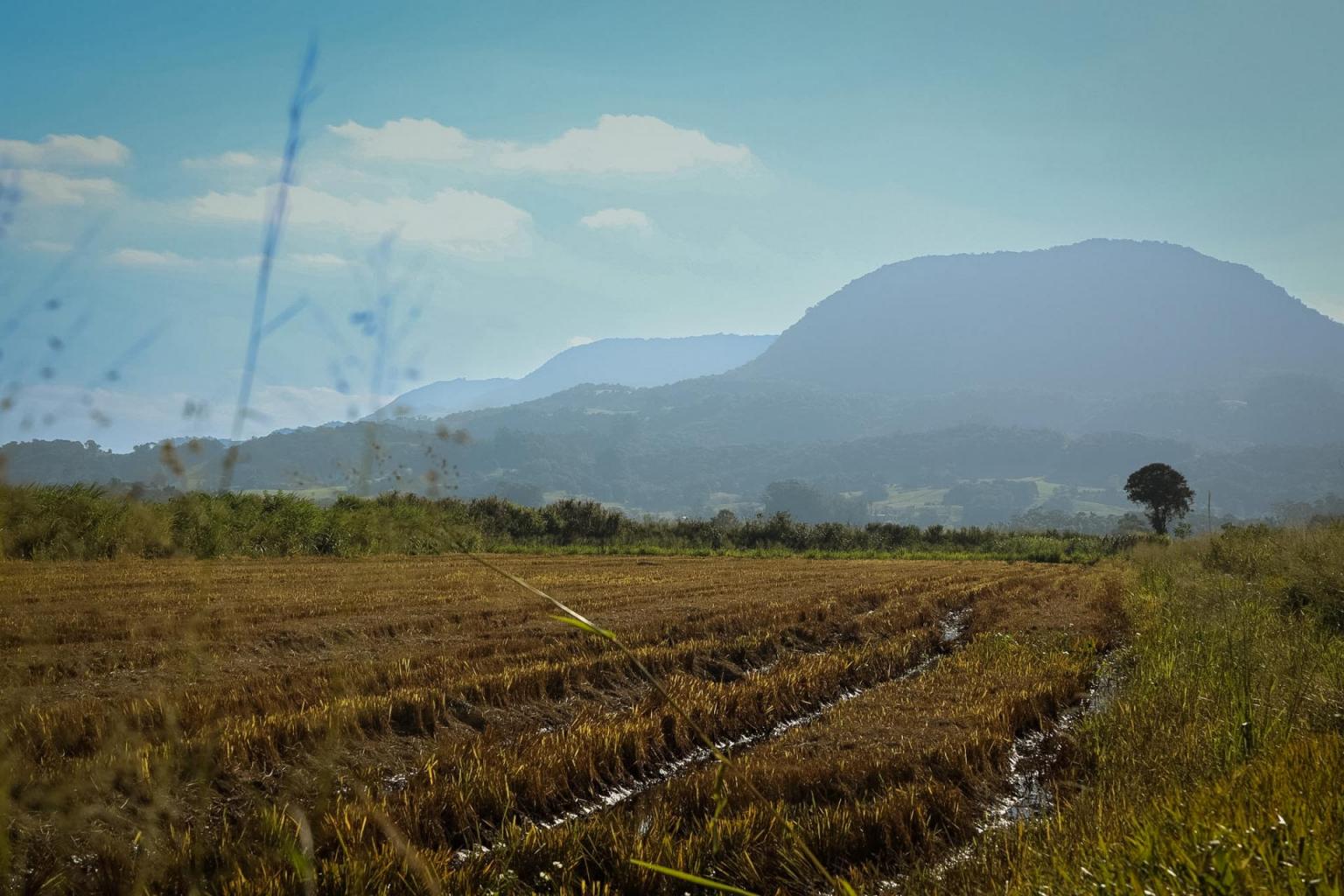 Visita de campo em Dona Francisca (Foto: Jessica Mocellin)