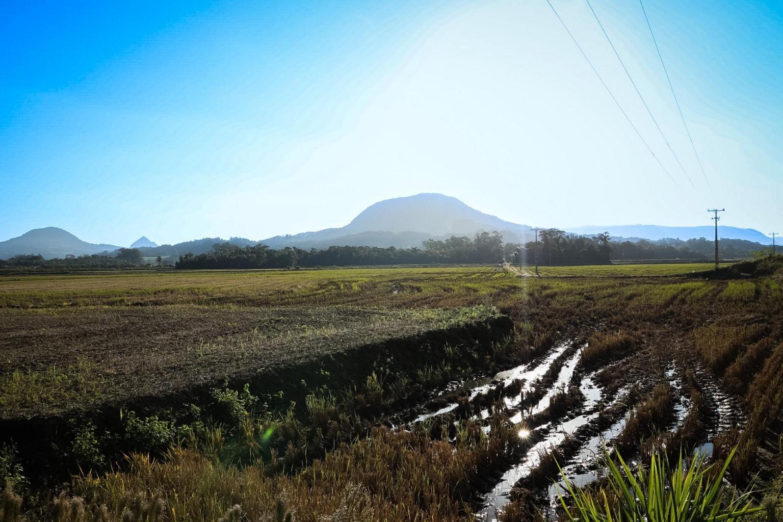 Visita de campo em Dona Francisca (Foto: Jessica Mocellin)