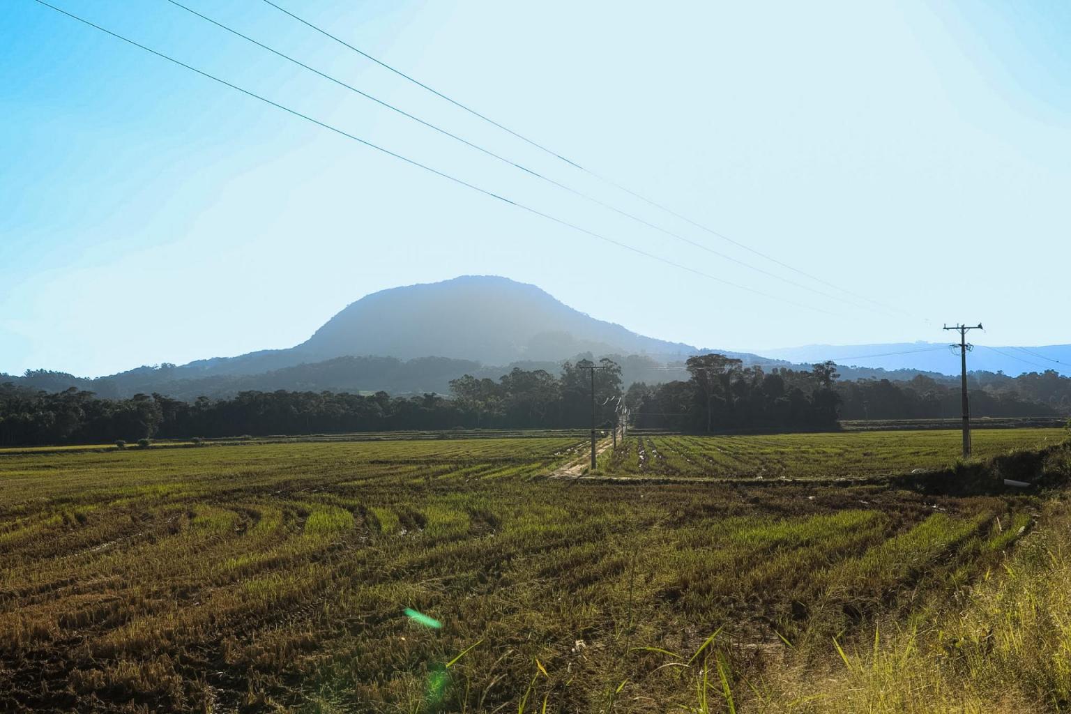 Visita de campo em Dona Francisca (Foto: Jessica Mocellin)