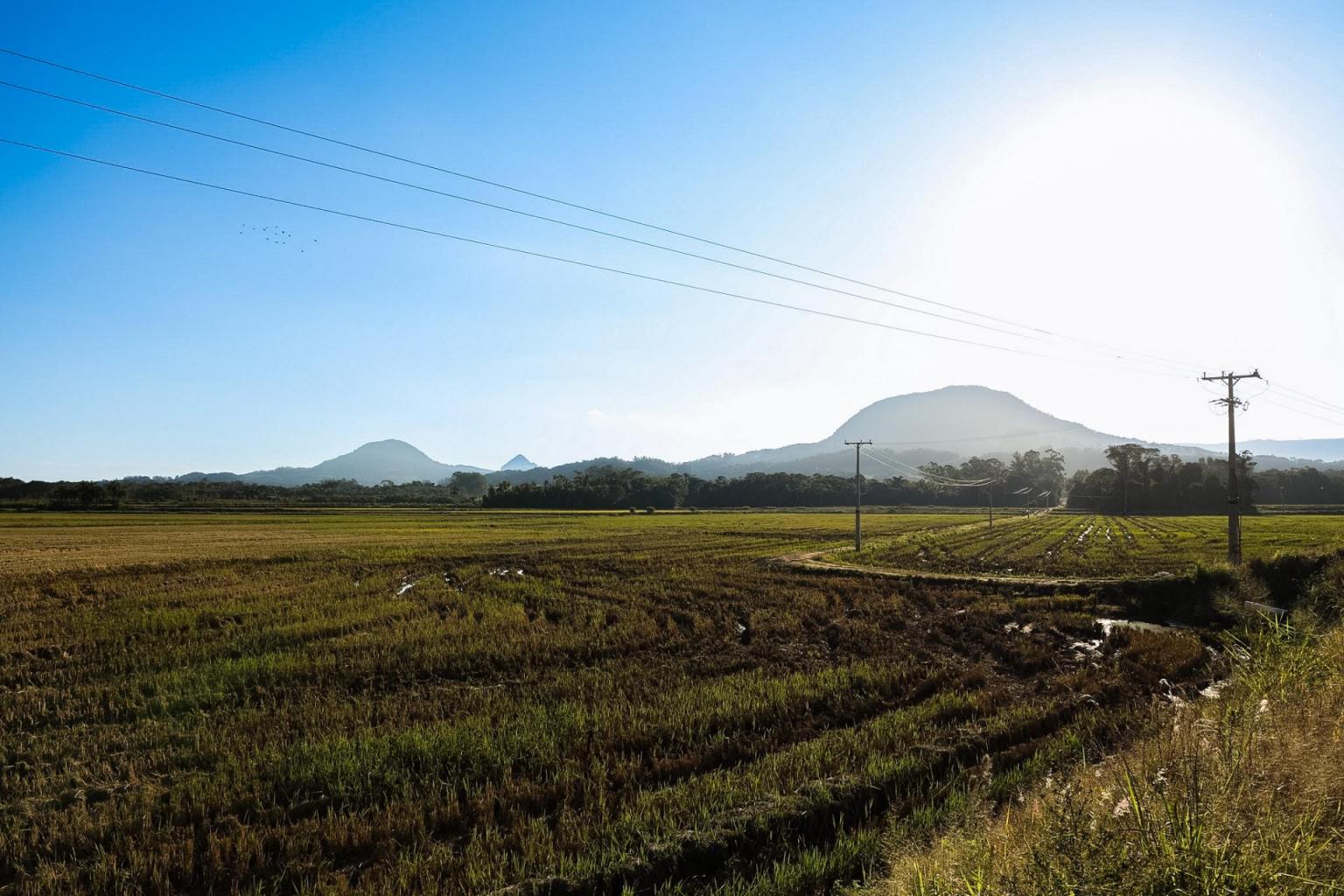 Visita de campo em Dona Francisca (Foto: Jessica Mocellin)