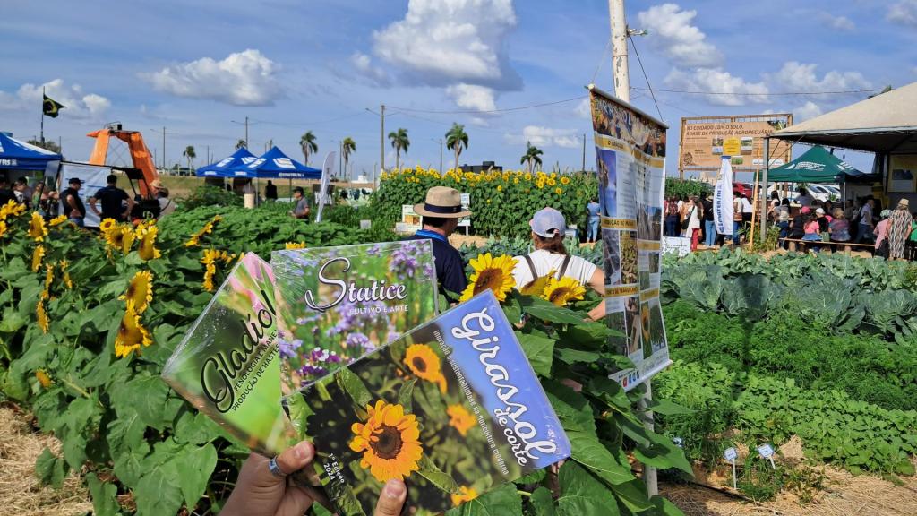 Foto colorida horizontal de estante em feira repleto de girassois. Ao centro da image, uma mão segura três livros sobre girassol.