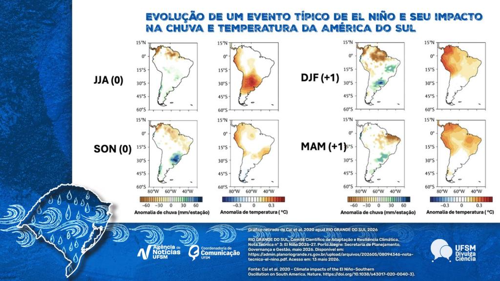 Infográfico colorido, em formato horizontal, sobre a evolução de um evento típico de El Niño e seus impactos na chuva e na temperatura da América do Sul. Na parte superior aparece o título: “Evolução de um evento típico de El Niño e seu impacto na chuva e temperatura da América do Sul”. O conteúdo apresenta oito mapas da América do Sul organizados em quatro períodos sazonais: inverno JJA (0), primavera SON (0), verão DJF (+1) e outono MAM (+1). Para cada estação há dois mapas: um sobre anomalias de chuva e outro sobre anomalias de temperatura. Escalas abaixo dos mapas indicam as variações observadas: nos mapas de chuva, tons marrons representam redução e tons azuis aumento; nos mapas de temperatura, tons frios indicam temperaturas abaixo da média e tons quentes representam aquecimento. De acordo com a análise baseada em eventos passados de El Niño, a primavera, identificada como SON (0), apresenta o principal sinal de aumento das chuvas, com valores entre 20% e 60% acima da média. Nesse período ocorre o pico dos impactos do fenômeno, e toda a Região Sul apresenta resposta semelhante. No verão, DJF (+1), os efeitos continuam com ocorrência de eventos extremos e chuvas intensas de curta duração entre 10% e 40% acima do normal. No outono, MAM (+1), os efeitos persistem de forma mais variável, com volumes entre 5% e 25% acima da média e sinal mais fraco. No inverno, JJA (0), o comportamento apresenta sinal fraco ou misto, com leve aumento das chuvas no Rio Grande do Sul. Na parte inferior há uma borda azul com ilustrações relacionadas ao clima, logotipos institucionais da Agência de Notícias, da Coordenadoria de Comunicação da UFSM e uma logo escrito “UFSM Divulga Ciência” e créditos informando que o gráfico foi elaborado a partir de estudo publicado por Cai et al., em 2020, e posteriormente utilizado em material do Comitê Científico de Adaptação e Resiliência Climática do Rio Grande do Sul.