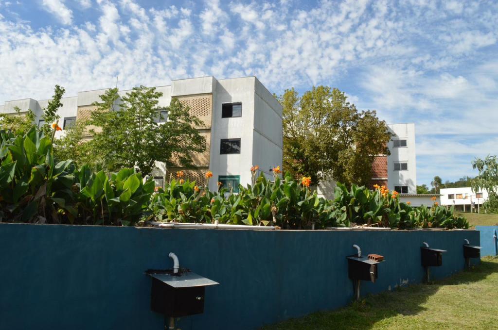 A foto mostra uma série de tanques (cujo muro foi pintado de azul) nos quais estão instalados os wetlands, sobre os quais é possível ver as folhas e flores das plantas usadas no processo. Ao fundo, destacam-se prédios do Campus de Frederico Westphalen, bem como algumas árvores.