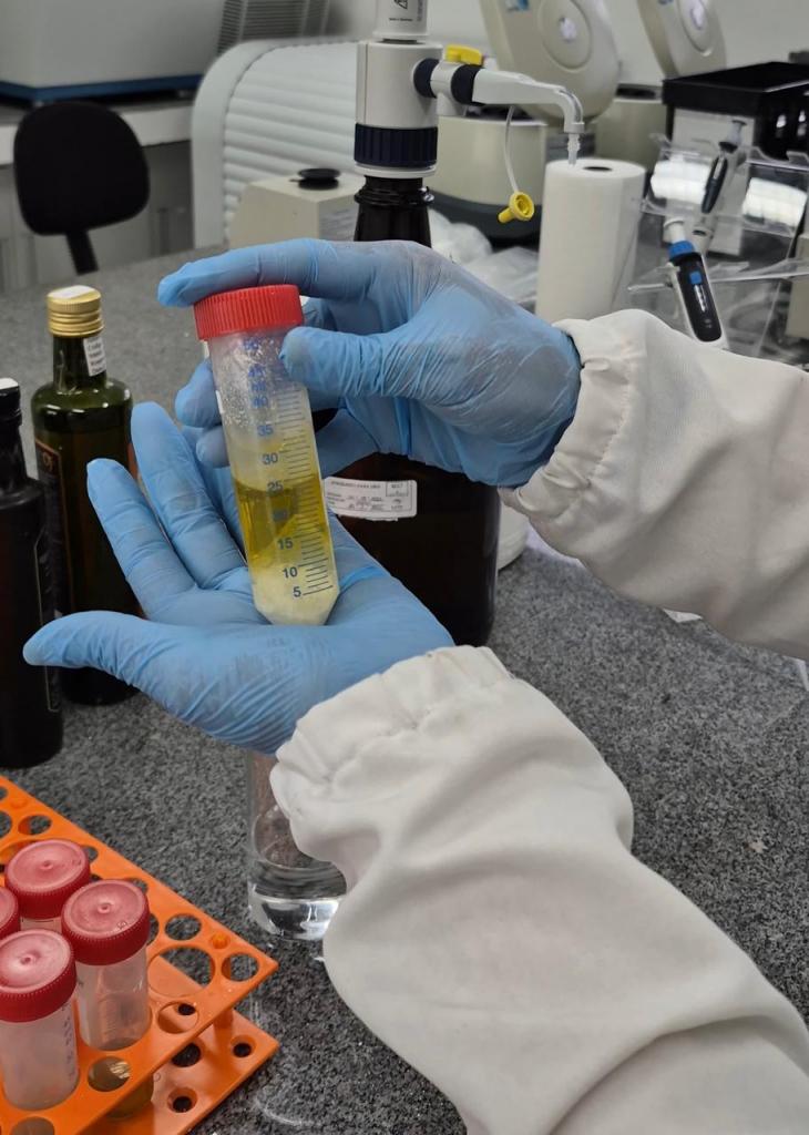 Foto colorida na vertical. Em um laboratório, uma pessoa vestindo jaleco branco e luvas azuis segura um tubo de ensaio contendo uma amostra líquida amarelada. Sobre a bancada, aparecem outros recipientes utilizados em análises químicas, incluindo frascos de vidro e tubos de coleta organizados em um suporte laranja. Ao fundo, há equipamentos laboratoriais usados em procedimentos de pesquisa. A imagem registra uma etapa de análise de amostras de água e solo realizadas por pesquisadores da UFSM para investigar possíveis contaminações ambientais após as enchentes no Rio Grande do Sul.