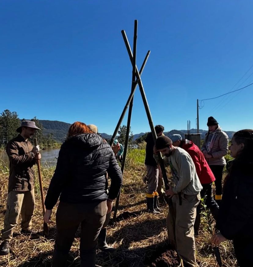 Foto colorida na vertical. Em uma área de campo aberta, cerca de dez pessoas participam de uma atividade de restauração ecológica. Os participantes estão reunidos ao redor de uma estrutura formada por três postes de madeira cruzados no topo, utilizada como poleiro artificial para atração de aves. Algumas pessoas seguram ferramentas e realizam o plantio no solo coberto por vegetação seca. Ao fundo, há montanhas, árvores e um curso d’água, sob céu azul e sem nuvens. A atividade ocorre durante o dia e integra ações de recuperação ambiental em área rural.