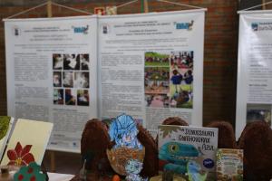 Foto colorida na horizontal. Em primeiro plano, livros infantis, desenhos, pequenas esculturas de dinossauros e outros materiais educativos estão expostos sobre uma mesa. Ao fundo, banners apresentam informações e fotografias de projetos de educação patrimonial desenvolvidos na Quarta Colônia.