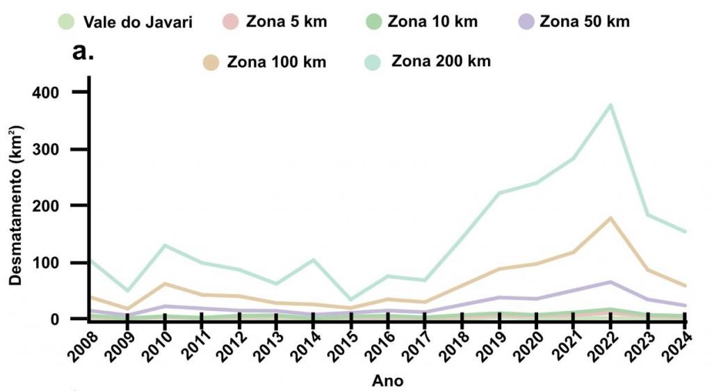 Gráfico de linhas, em cores, apresenta a evolução do desmatamento no Vale do Javari e em áreas de amortecimento localizadas a diferentes distâncias da região, entre 2008 e 2024. O eixo horizontal indica os anos, enquanto o eixo vertical mostra a área desmatada, em quilômetros quadrados, com valores de 0 a 400 km². A legenda identifica o Vale do Javari e as zonas de 5, 10, 50, 100 e 200 quilômetros. A linha referente à Zona 200 km apresenta os maiores valores ao longo de todo o período, com oscilações e crescimento acentuado a partir de 2018. O desmatamento nessa área atinge o pico em 2022, próximo de 380 km², e diminui em 2023 e 2024. A Zona 100 km também registra aumento expressivo a partir de 2018, chegando a cerca de 180 km² em 2022. As zonas de 50, 10 e 5 km apresentam valores menores, embora também tenham aumento do desmatamento a partir de 2018. O Vale do Javari permanece entre as áreas com menores valores de desmatamento no período.
