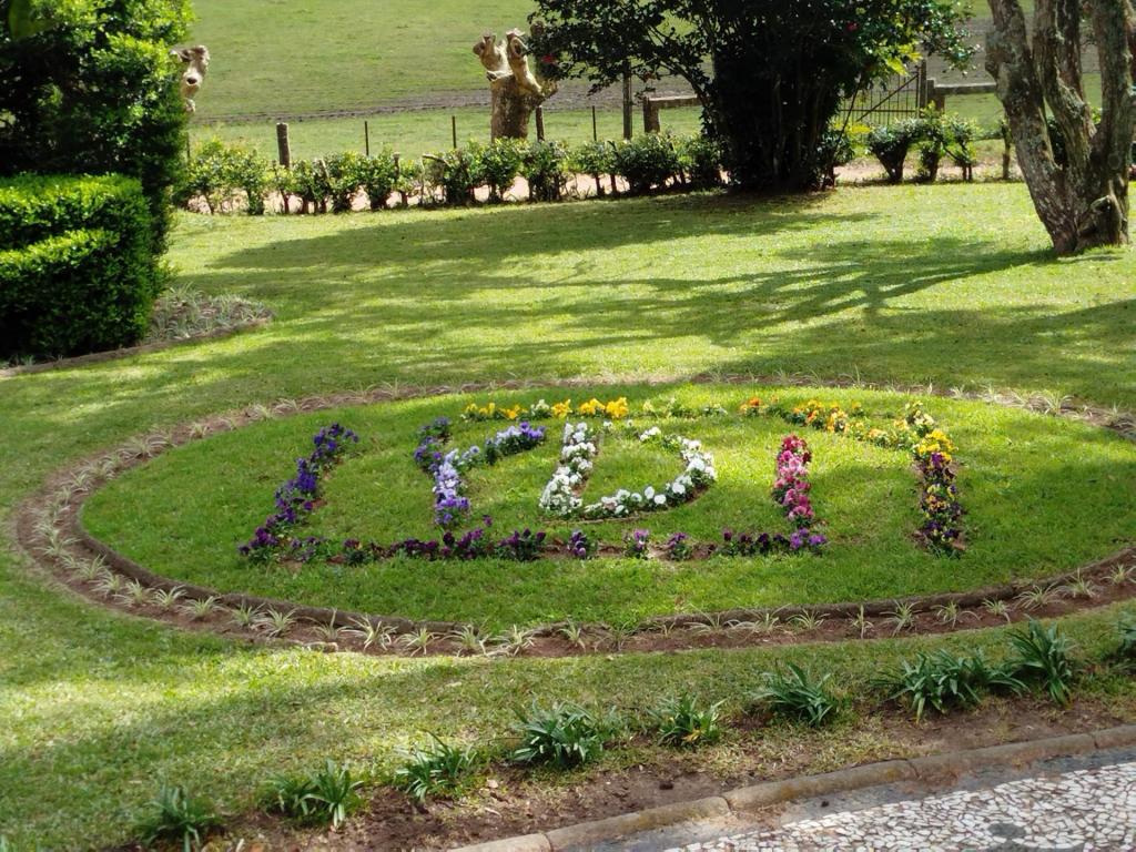 Foto colorida horizontal de um canteiro com amor-perfeito com as letras Lydia. As flores estão começando a florescer