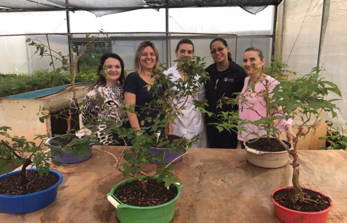 700x450-crop-90-images_2017_fotos_evento_campus_fw_1