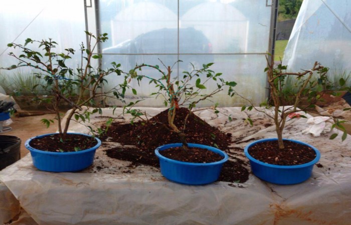 700x450-crop-90-images_2017_fotos_evento_campus_fw_4