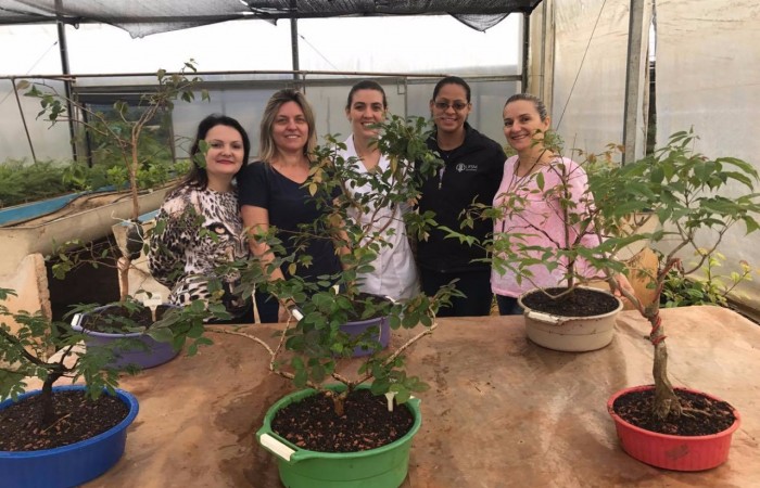 700x450-crop-90-images_2017_fotos_evento_campus_fw_43