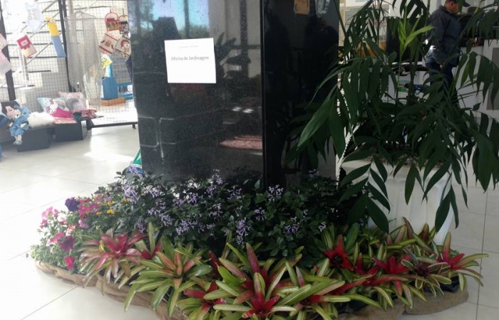 700x450-crop-90-images_2017_fotos_evento_mostra_artes_4.1