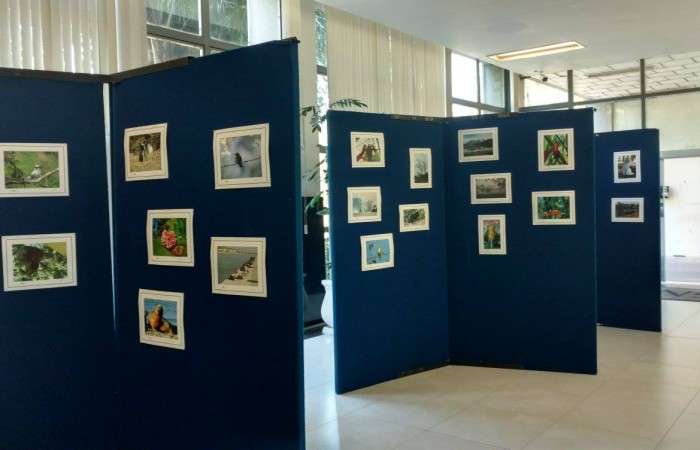 700x450-crop-90-images_2017_fotos_evento_mostra_fotos_6