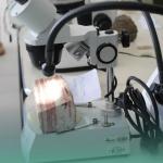 WhatsApp Image 2025-12-22 at 08.38.52