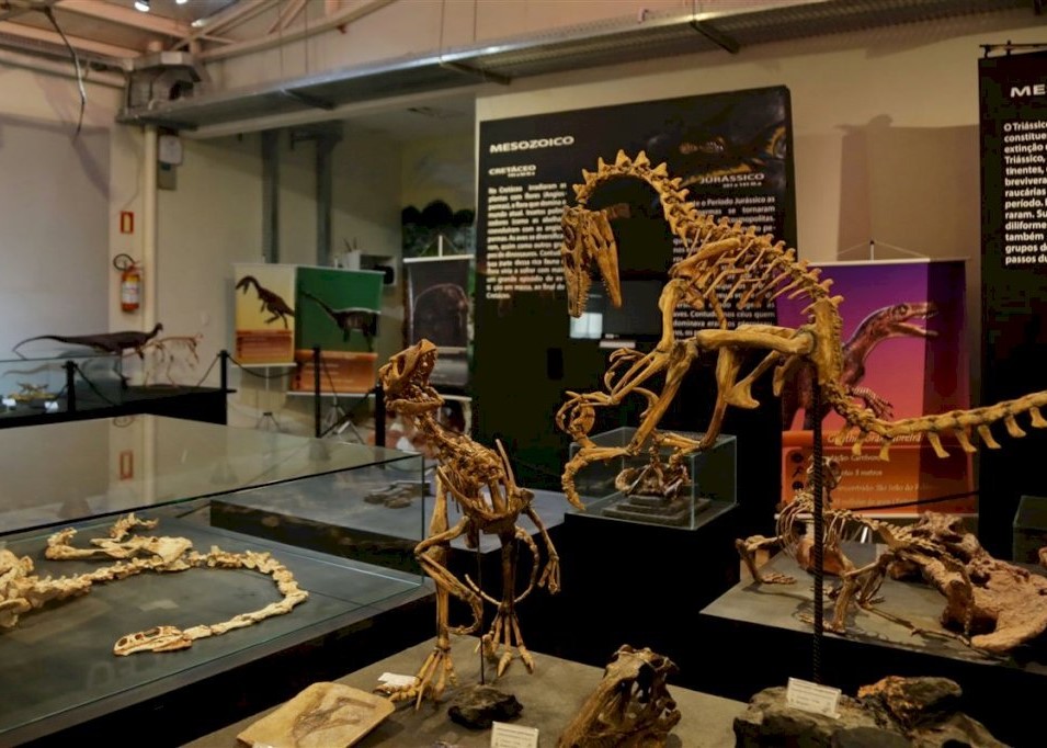 museu-cappa-diariosm