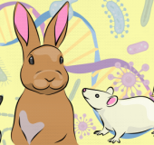 Cuidados_Animais