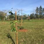 WhatsApp Image 2019-06-06 at 15.37.45