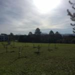 WhatsApp Image 2019-06-06 at 15.37.47