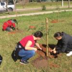 WhatsApp Image 2019-06-06 at 15.39.49