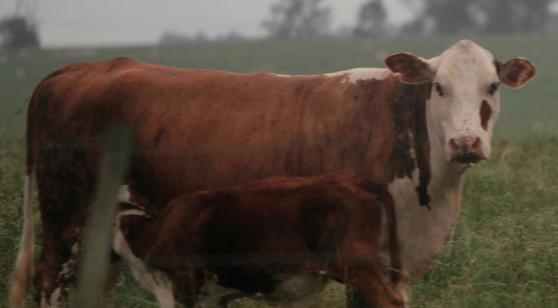 734837 803376483123399 1545475854404879885 n