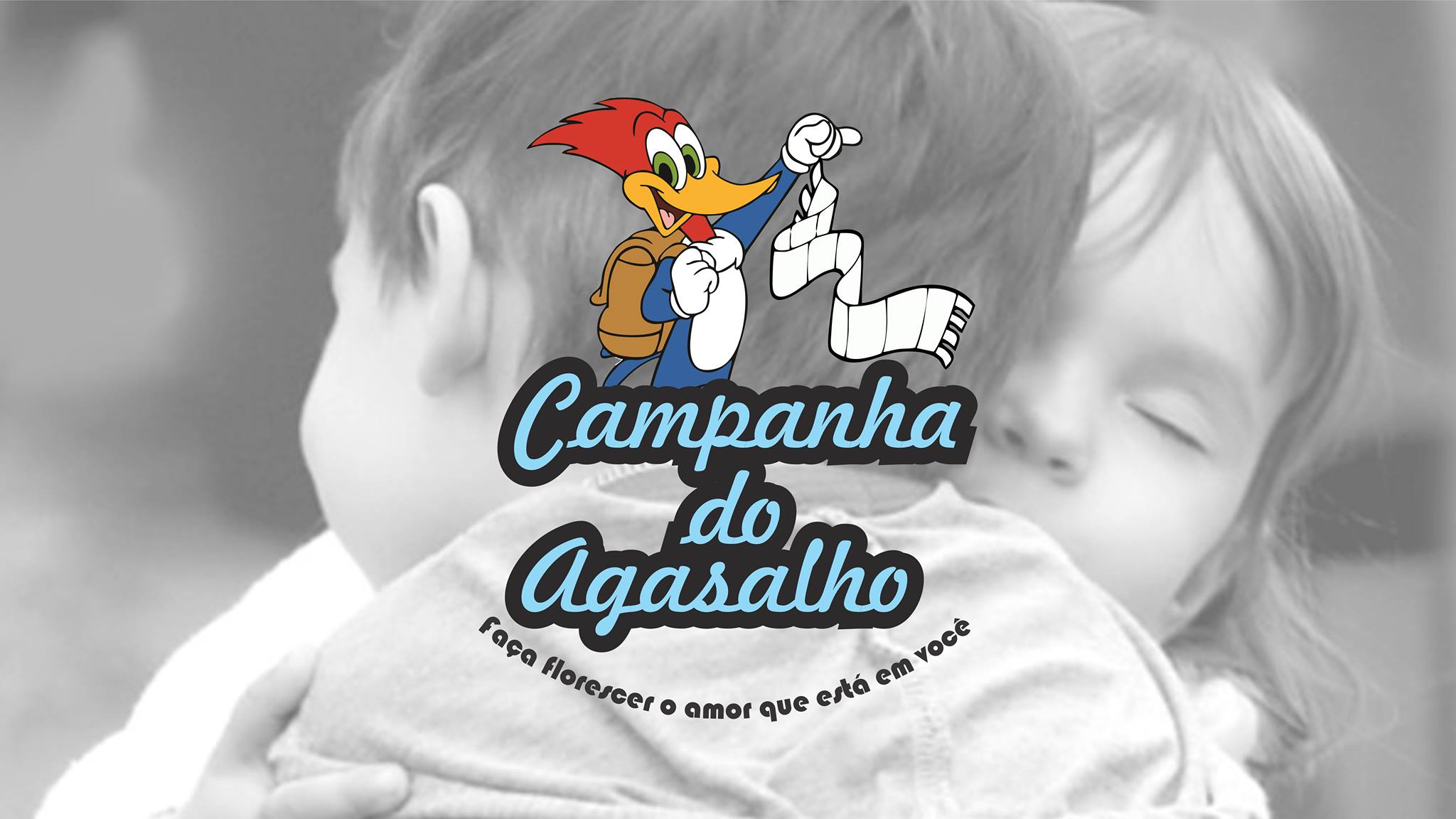 18836996 1334602643296506 2182276669828517935 o