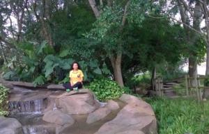 700x450-crop-90-images_curta_libras_wp_20151021_003