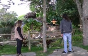 700x450-crop-90-images_curta_libras_wp_20151021_006