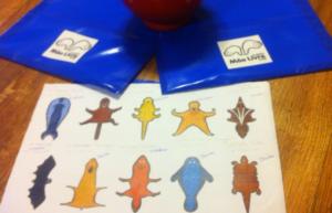 700x450-crop-90-images_ml_2015_img_2713