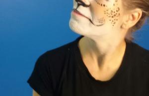 700x450-crop-90-images_ml_2015_img_6226