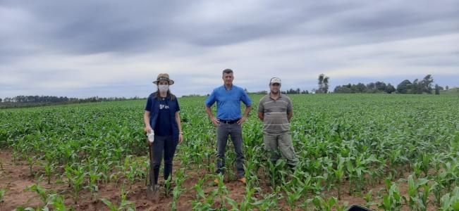 Visitas às propriedades.