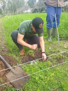 Coleta de solo durante as visitas.