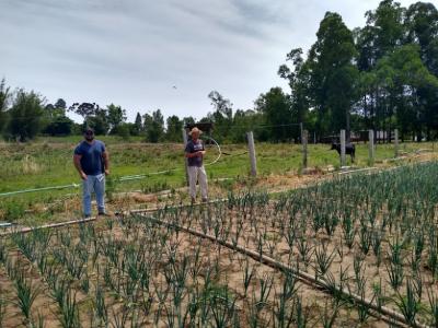 Instalação do sistema de irrigação.
