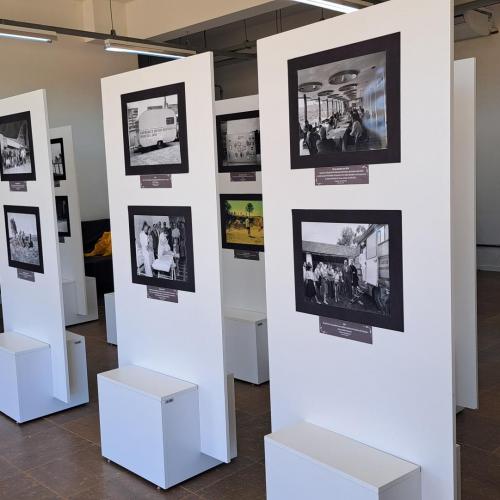 Fotógrafo Cristina Strohschoen