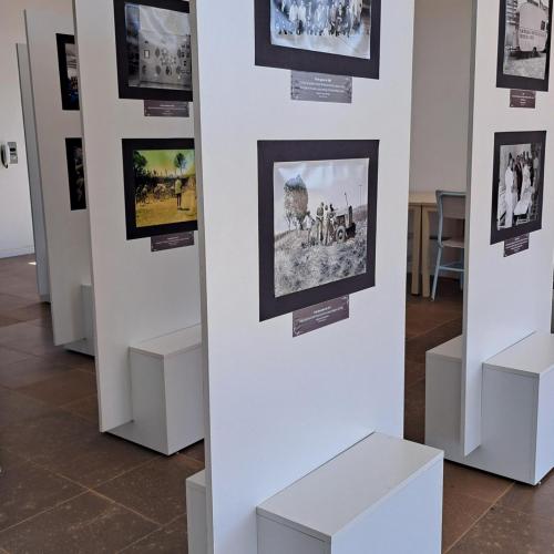 Fotógrafo Luana Tampke