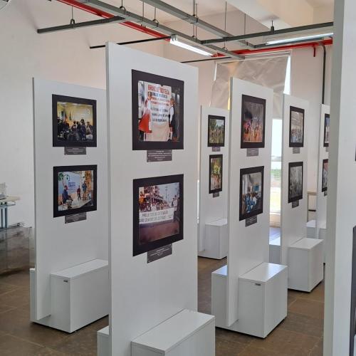 Fotógrafo Luana Tampke